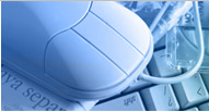 Web development services